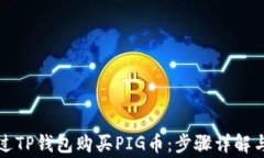   如何通过TP钱包购买PIG币