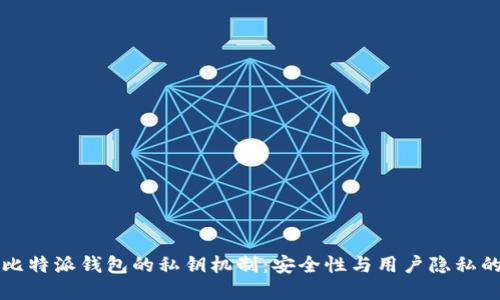 解密比特派钱包的私钥机制：安全性与用户隐私的较量