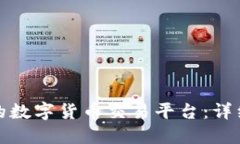 如何选择适合你的数字货