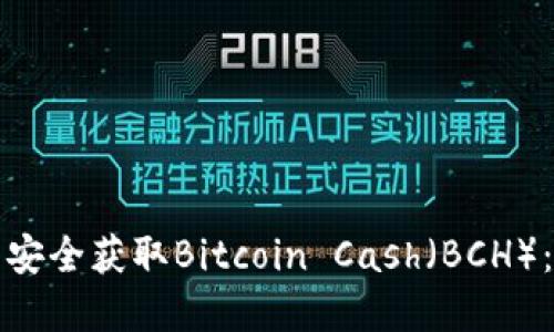 如何通过比特币钱包安全获取Bitcoin Cash（BCH）：详细指导与实用技巧