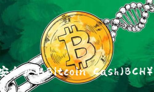 如何通过比特币钱包安全获取Bitcoin Cash（BCH）：详细指导与实用技巧
