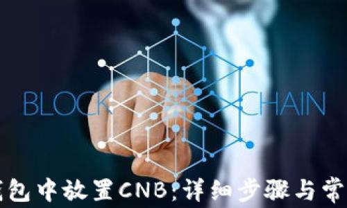 
如何在TP钱包中放置CNB：详细步骤与常见问题解析