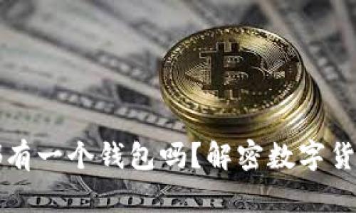 每种加密货币都有一个钱包吗？解密数字货币的存储与管理