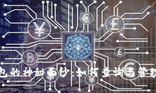 揭开比特币钱包的神秘面纱：如何查询与管理你的数字资产