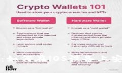 详细指南：如何在iOS设备