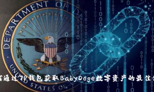 如何通过TP钱包获取BabyDoge数字资产的最佳体验