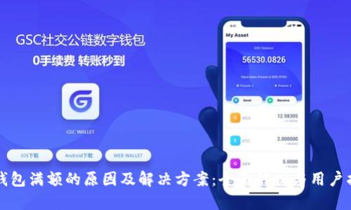 TP钱包满额的原因及解决方案：全面解析与用户指南