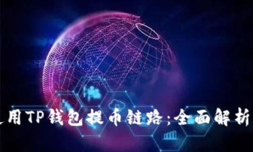 如何有效使用TP钱包提币链路：全面解析与深入指南