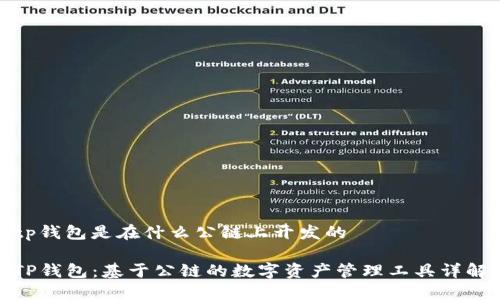 tp钱包是在什么公链上开发的

TP钱包：基于公链的数字资产管理工具详解