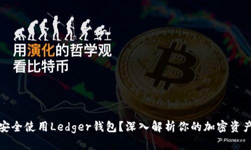 是否安全使用Ledger钱包？深入解析你的加密资产保护